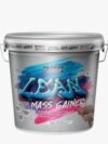 Lean Mass Gainer Chocolate 4.5kg